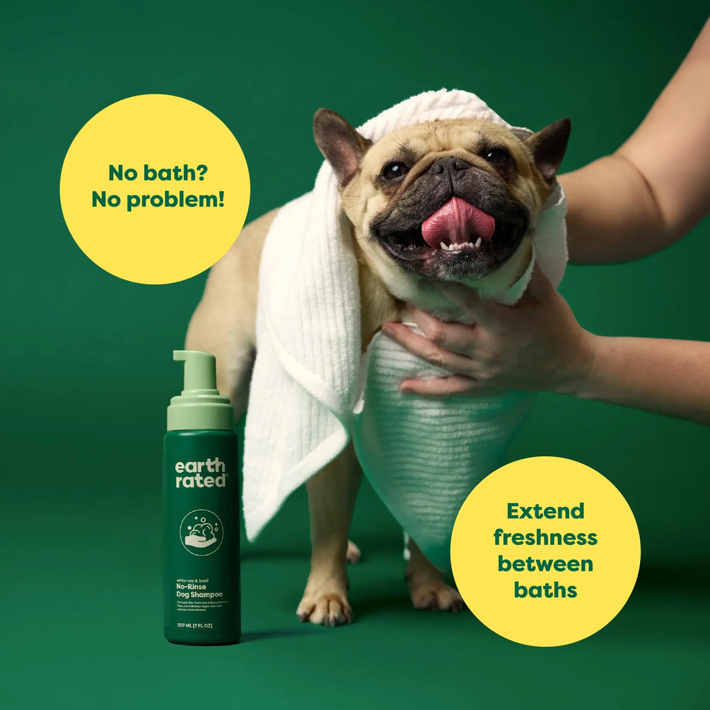 No-Rinse Dog Shampoo 7 oz - White Tea & Basil Scent, Convenient Waterless Formula for All Coat Types, Refreshing Scent Sold by Earth Rated